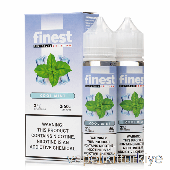 Vape Elektronik Sigara Cool Mint - En Iyi Imza Baskısı - 120ml 6mg